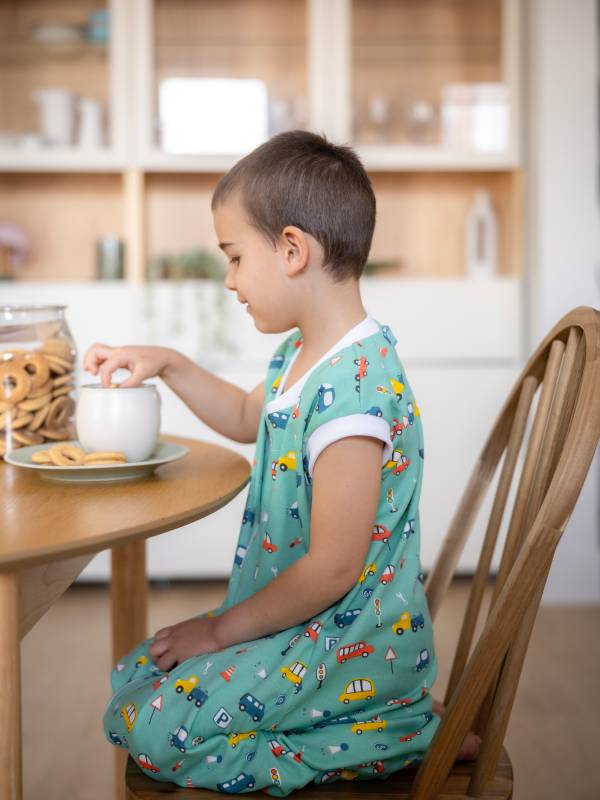 Vreca za spavanje sa nogavicama-punjena-bez rukava-dodatak za stopala-Vesela vožnja-2.5 TOG