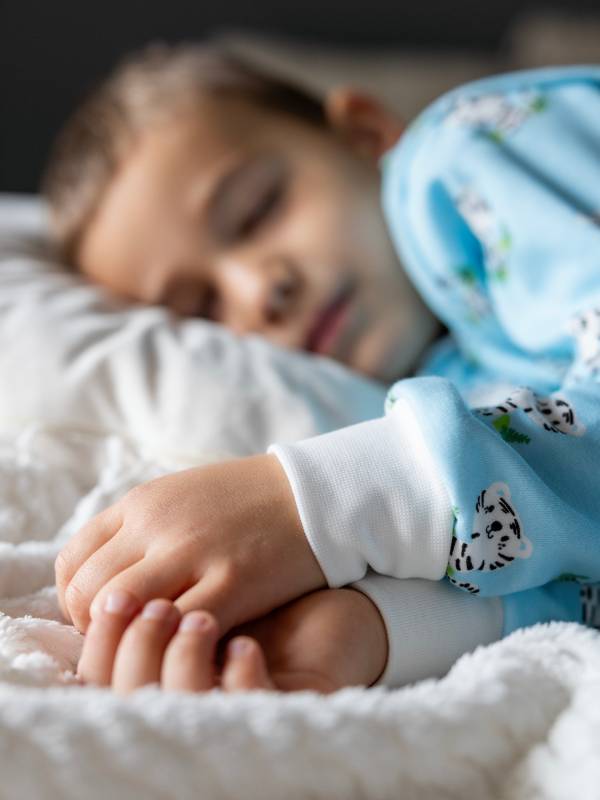 Vreća za spavanje sa nogavicama - punjena - skidajući rukavi - dodatak za stopala - Tigrići - 2.5 TOG